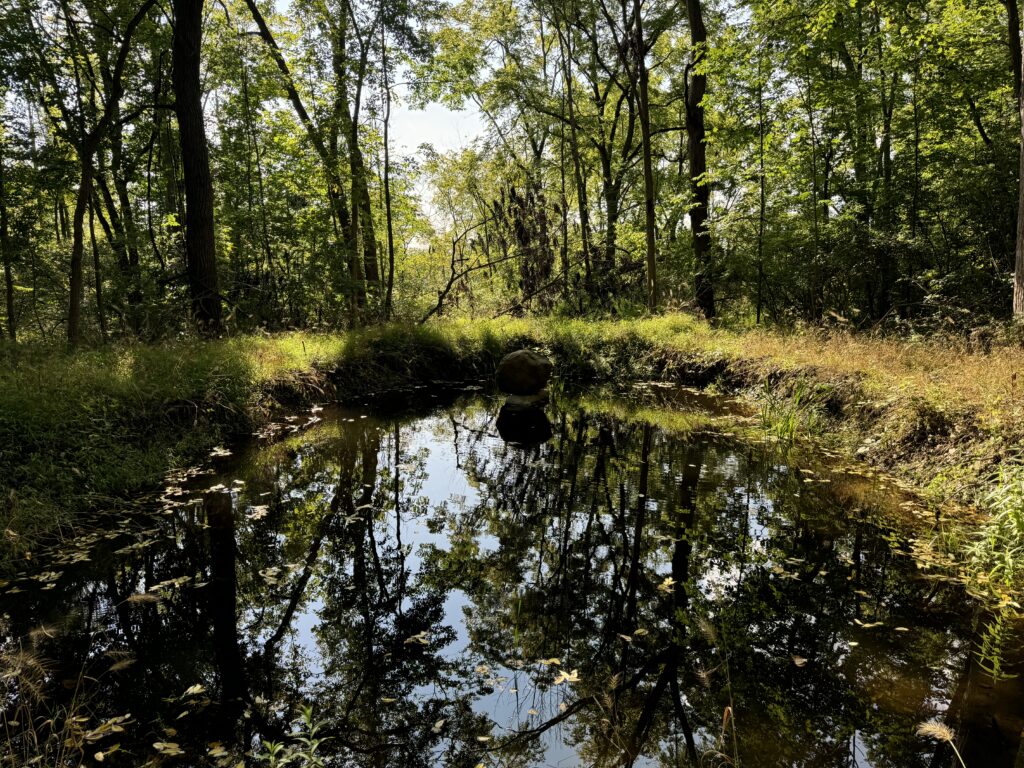 pond by creek view
