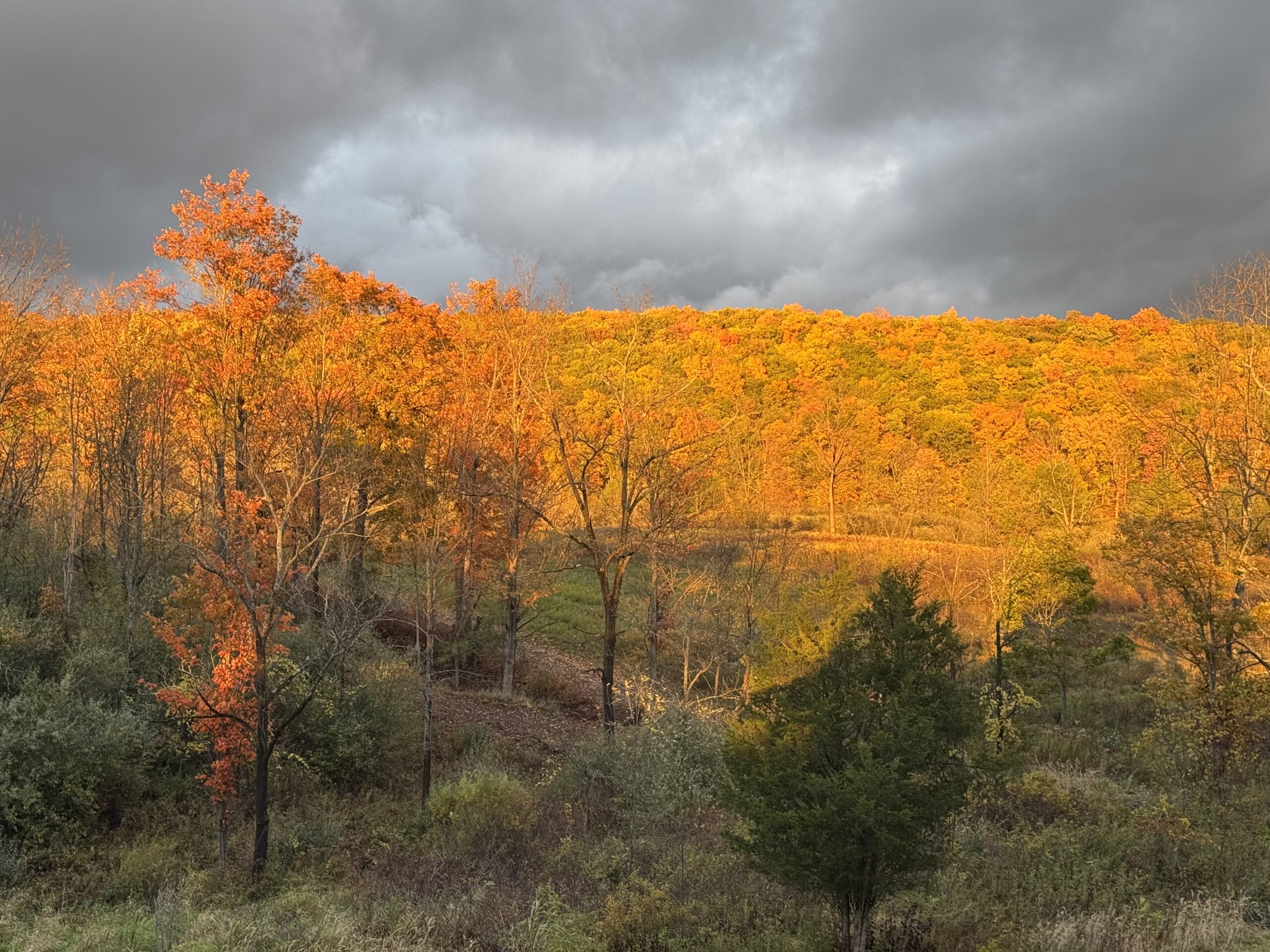 sunset on the hills in late fall