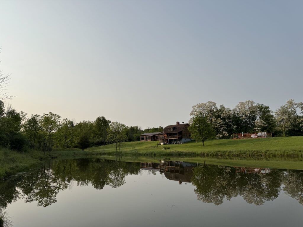 pond in early spring looking at cabin