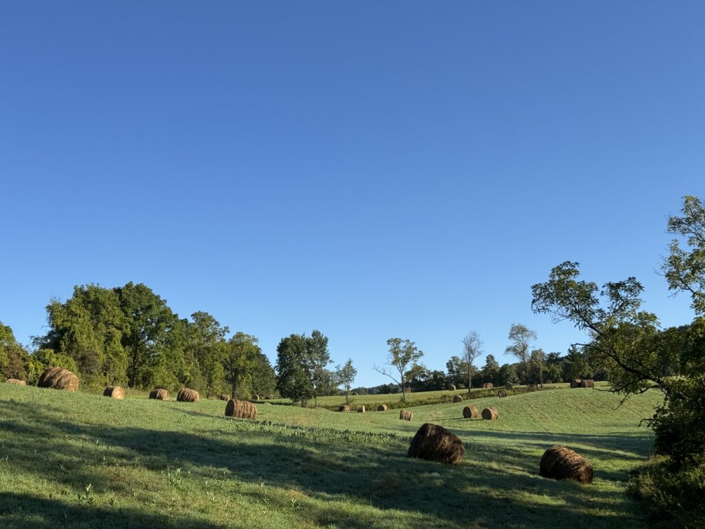 late summer with hay bails