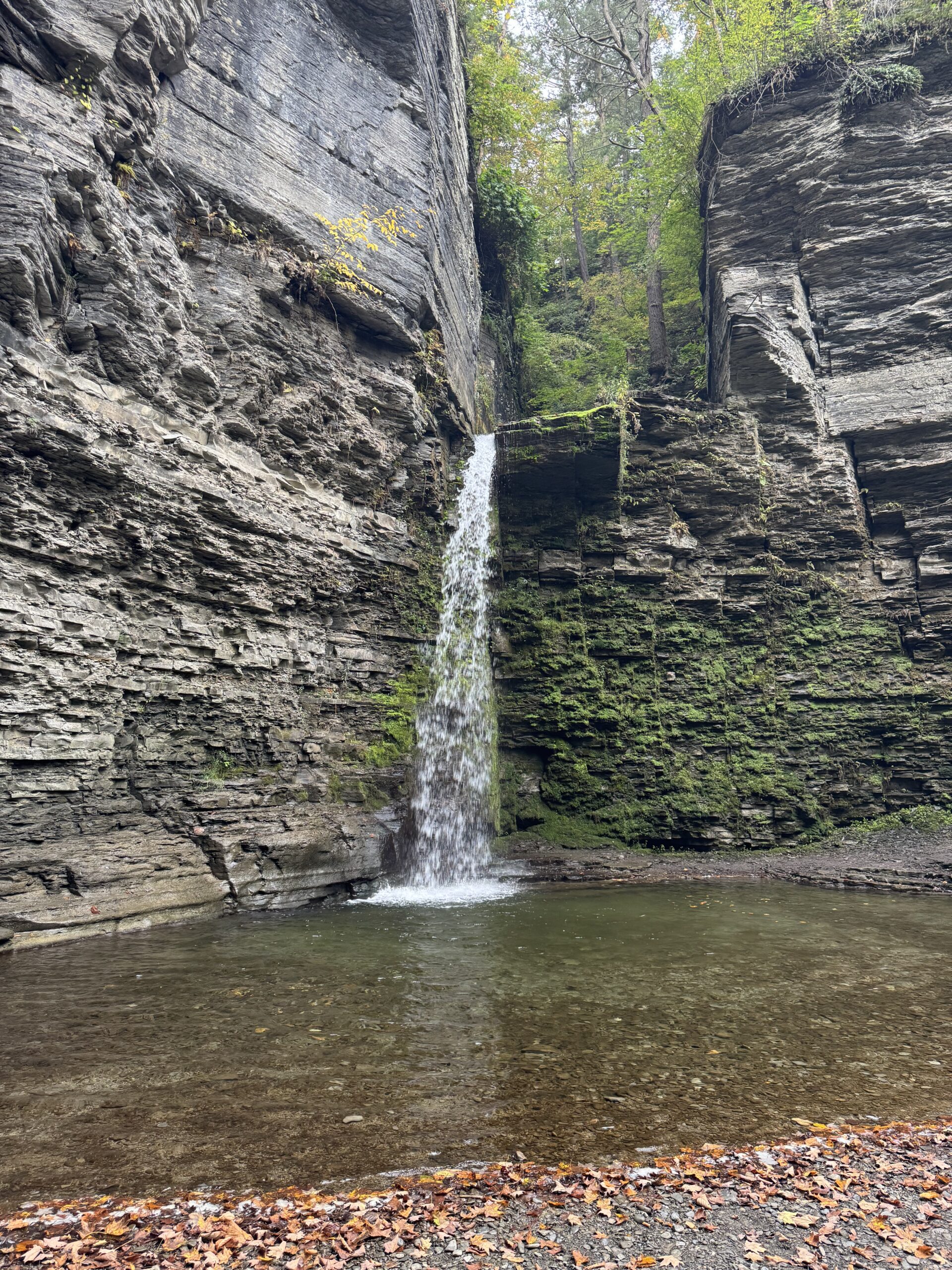 Eagle Cliff Falls at Havana Glen Park: A Short Hike to a Striking Waterfall in Montour Falls