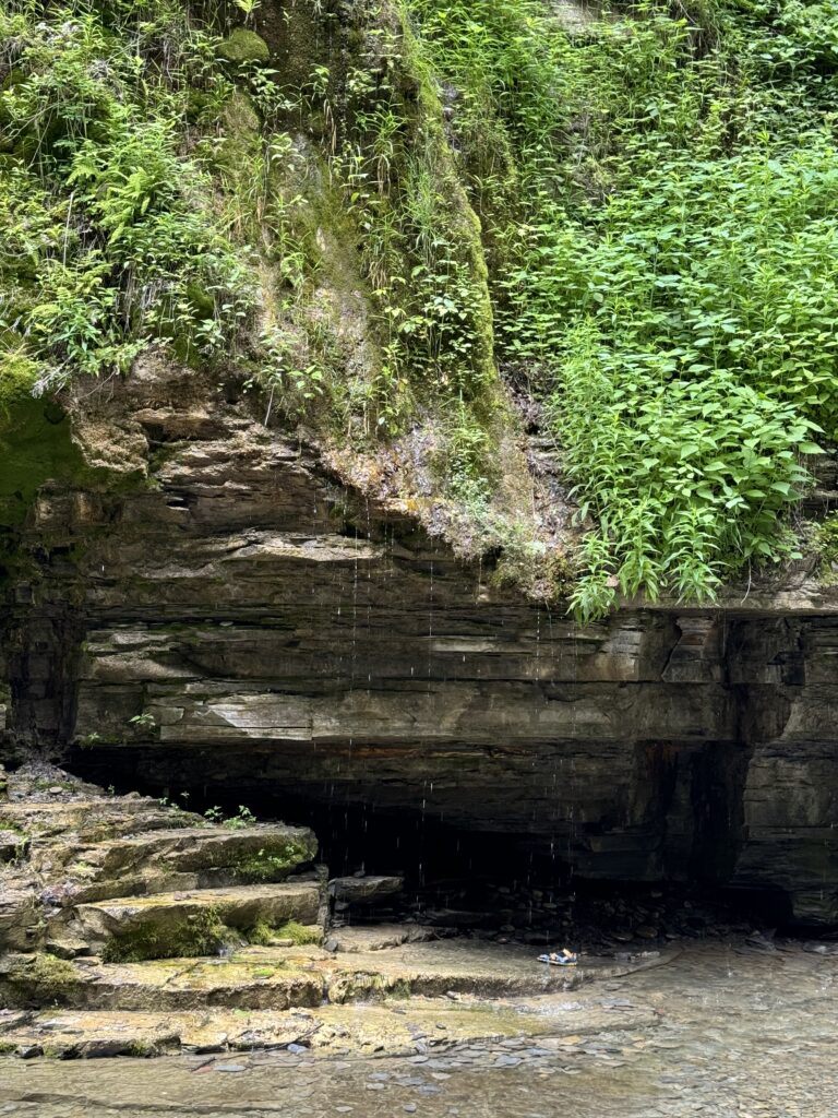 Water seeping down a moss- and fern-covered shale wall inside the Eagle Cliff Falls basin, with green vegetation growing along the rock ledge